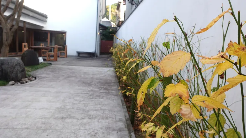 犬養万葉記念館のアプローチ