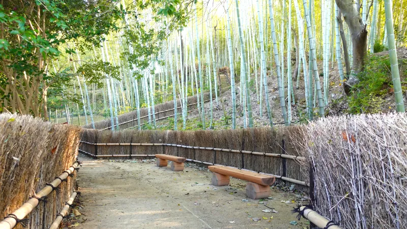 酒船石のベンチ