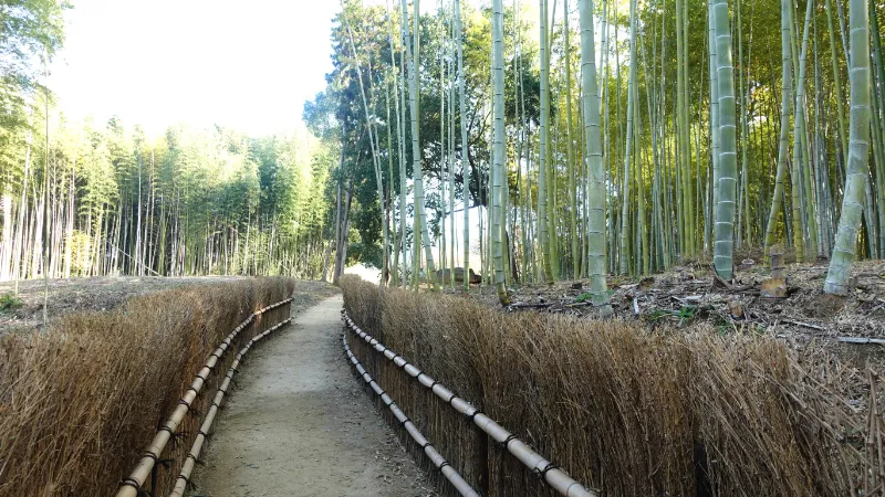 酒船石アクセスルート